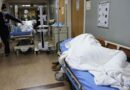 EU: Hospitalizaciones por covid alcanzan niveles no vistos antes