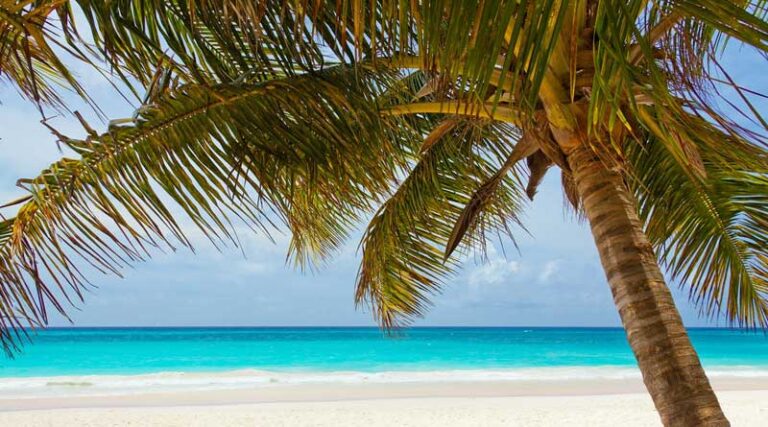 beach