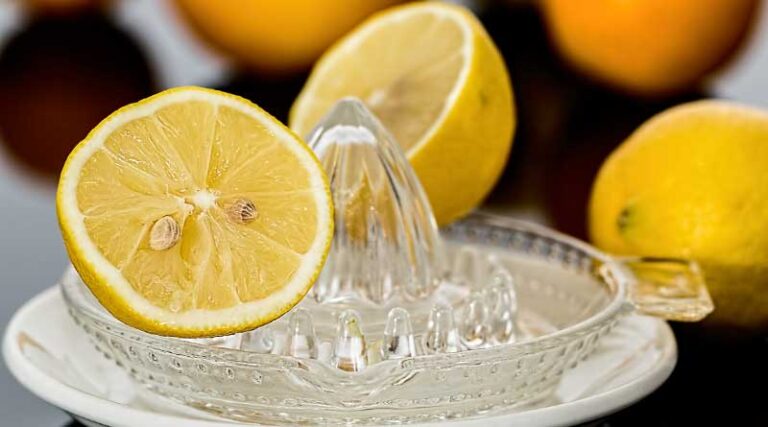 lemon-squeezer
