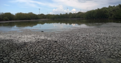 CEBAMDER saluda  decisión de Medio Ambiente  de impedir  ecocidio de  lagunas costeras en Manzanillo