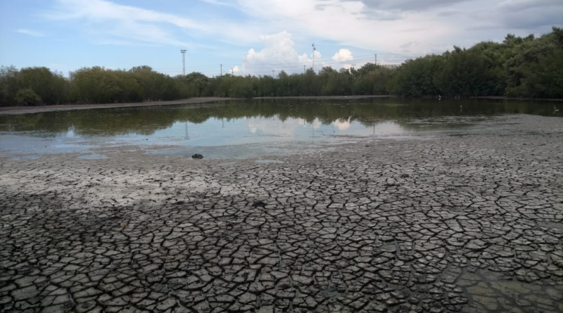 CEBAMDER saluda  decisión de Medio Ambiente  de impedir  ecocidio de  lagunas costeras en Manzanillo
