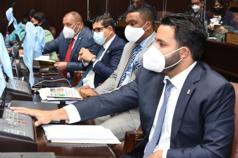 Cámara de Diputados aprueba extensión del estado emergencia por 45 días, para enfrentar el Covid-19 
