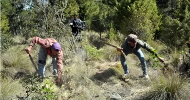 Medio Ambiente anuncia medidas en Valle Nuevo para su Rescate