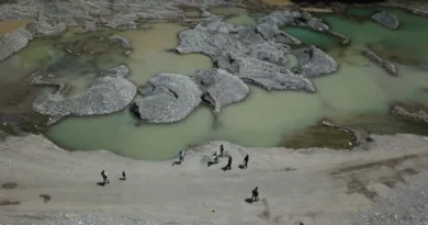 Medio Ambiente interviene extracción ilegal de materiales en Muchas Aguas, San Cristóbal