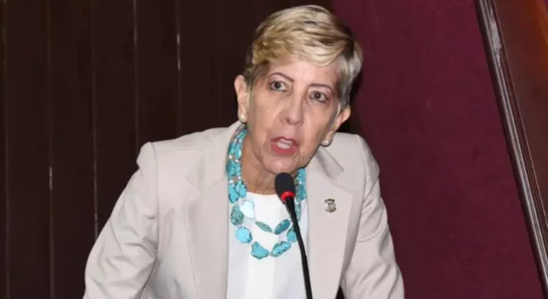 Senadora insta a Policía usar agentes asignados en casas de familia