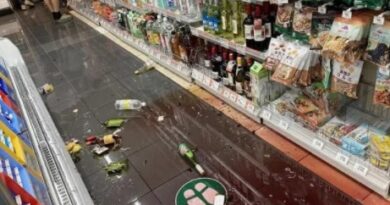 Al menos 32 heridos tras el terremoto de 5,9 en Japón que afectó a Tokio