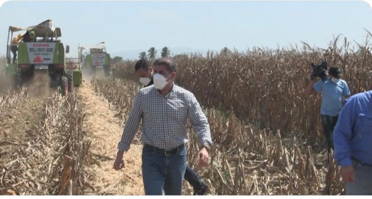 Con equipos de alta tecnología, Agricultura revoluciona cultivo de maíz en el país