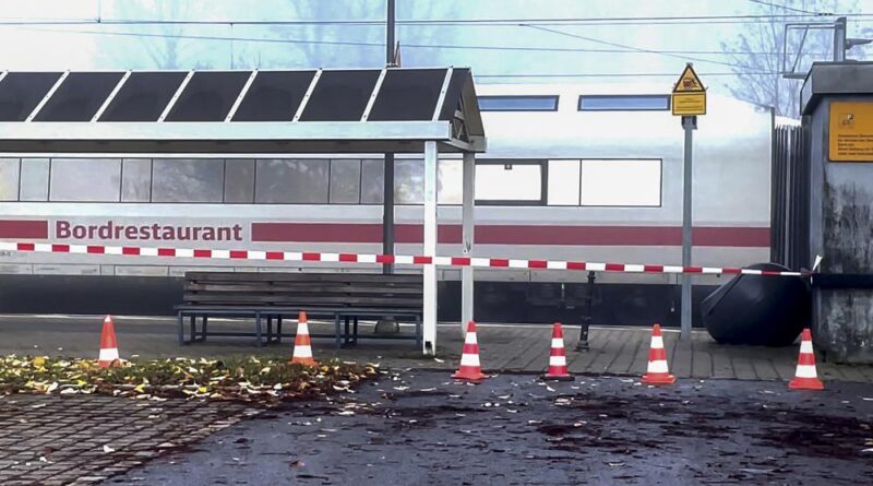 Alemania: Atacante en tren sufría de enfermedad mental