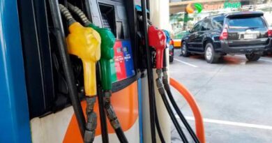 Gobierno deja sin variación el precio de los combustibles