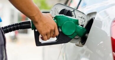El Gobierno decide congelar el precio de todos los combustibles