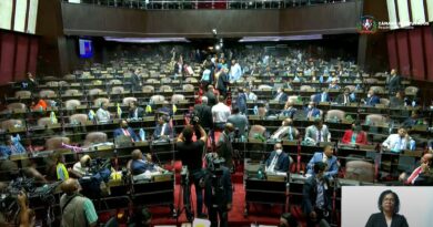 PLD se retira de sesión de la Cámara de Diputados donde se pretende conocer Código Penal