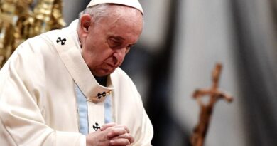 Papa Francisco critica padres quieran más a perros y gatos que a sus hijos