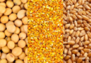 Ataque a Ucrania dispara el precio de las materias primas: la soja, el trigo y el maíz