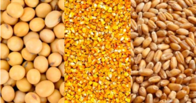 Ataque a Ucrania dispara el precio de las materias primas: la soja, el trigo y el maíz