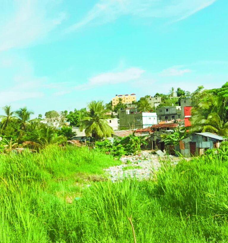 Humedales son rellenados con caliche para vender por solares