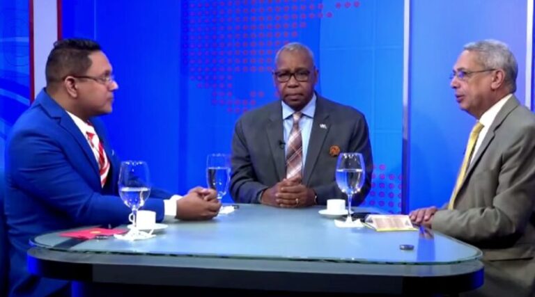 Máximo Castillo:”miembros CC no tienen capacidad para auditar Punta Catalina”.