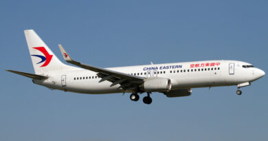 Un Boeing 737 se estrella en el sur de China