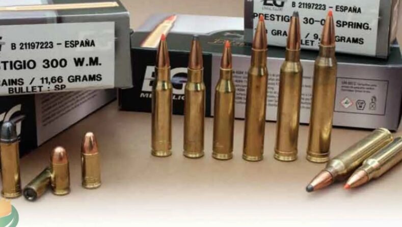 ELIAS PIÑA: Autoridades ocupan miles de municiones para fusiles