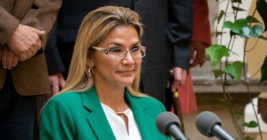 Jeanine Áñez pide perdón por los «errores cometidos» durante su gobierno