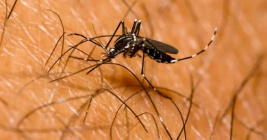 País registra siete defunciones por casos de dengue