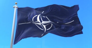 China: La OTAN debería haberse disuelto tras la desintegración de la Unión Soviética