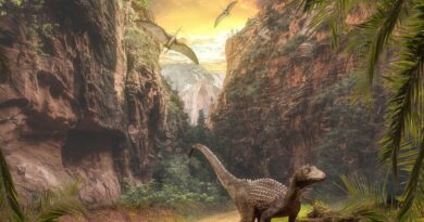 Descubren restos fosilizados de un dinosaurio que se cree que murió el día que cayó un asteroide a la Tierra