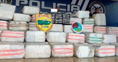 Incautan en PR cocaína por US$11 millones; arrestan 7 dominicanos