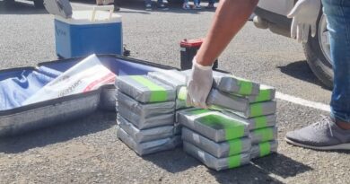Incautan 38 paquetes de cocaína en SDE