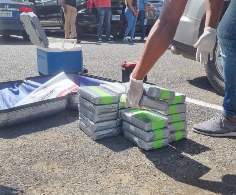Incautan 38 paquetes de cocaína en SDE