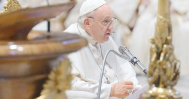 Papa pide valentía para que todo el mundo defienda la paz en Ucrania