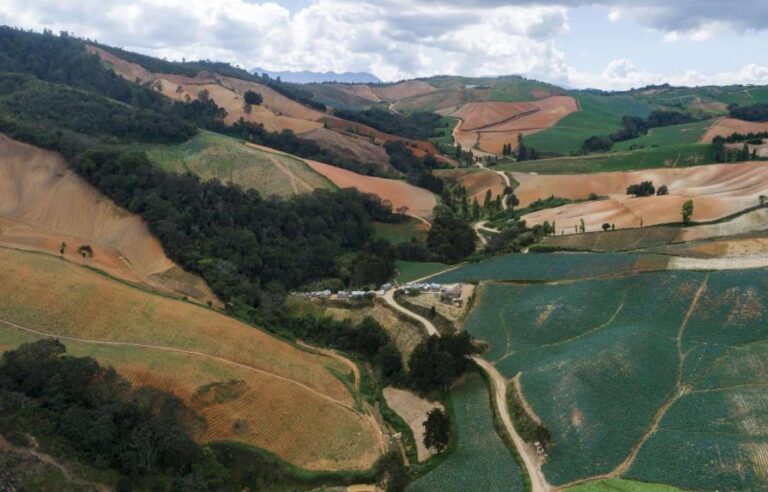 Medio Ambiente evalúa cambiar norma que protege zonas de montaña y ríos