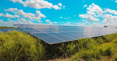Presidente destaca inversión récord de US$800 millones de dólares en proyectos fotovoltaicos 