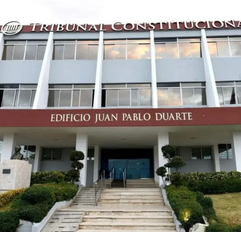 El Constitucional vuelve a anular artículos de las leyes electorales