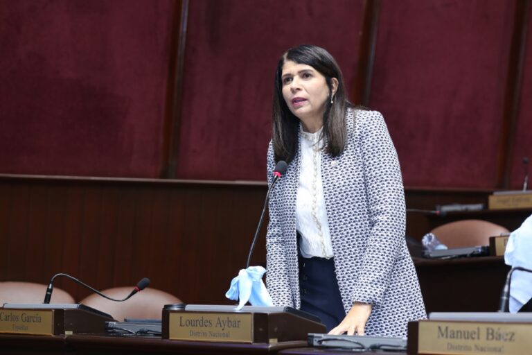 Cámara de Diputados aprueba en primera lectura proyecto de ley que regula los servicios de vigilancia y seguridad privada