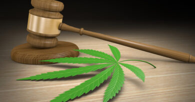 Director de Casa Abierta : Se debe legislar para uso medicinal de la marihuana en RD