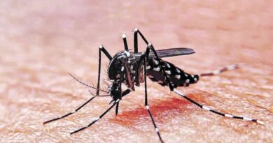 ¡Últimas 4 semanas! El dengue ha cobrado la vida de 14 personas; Santiago tiene el mayor número de casos