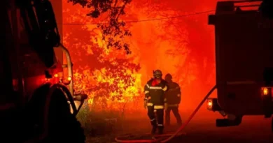 Ola calor, sequía e incendios castigan a países de Europa