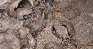 Encuentran más de 3,000 cráneos en rancho en México