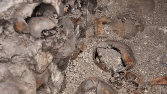 Encuentran más de 3,000 cráneos en rancho en México