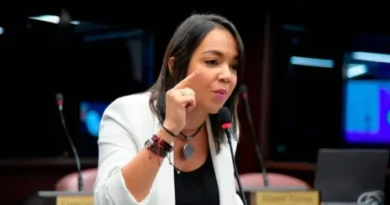 Faride Raful confirma no seguirá como vocera del PRM en el Senado
