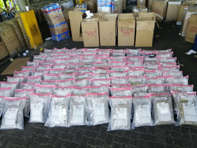 Ocupan 220 paquetes de marihuana en tanque llegó al puerto de Haina desde EE.UU