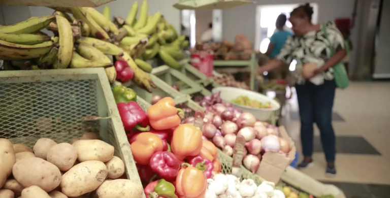 Alto dinamismo de la economía dominicana, pese a un entorno mundial adverso, según informe