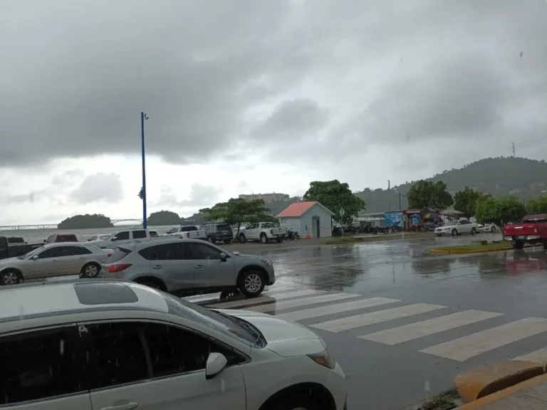 ¡Paraguas en mano! Lluvias en la tarde y temperaturas calurosas