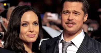 Angelina Jolie acusa a Brad Pitt de abuso en un avión privado