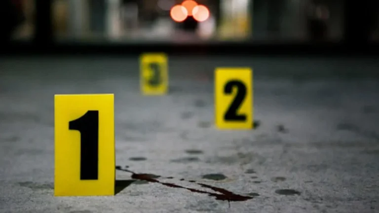 Matan a tiros mujer en Santiago mientras conducía su vehículo