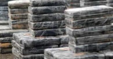 Autoridades se incautan de 677 paquetes de cocaína en Barahona