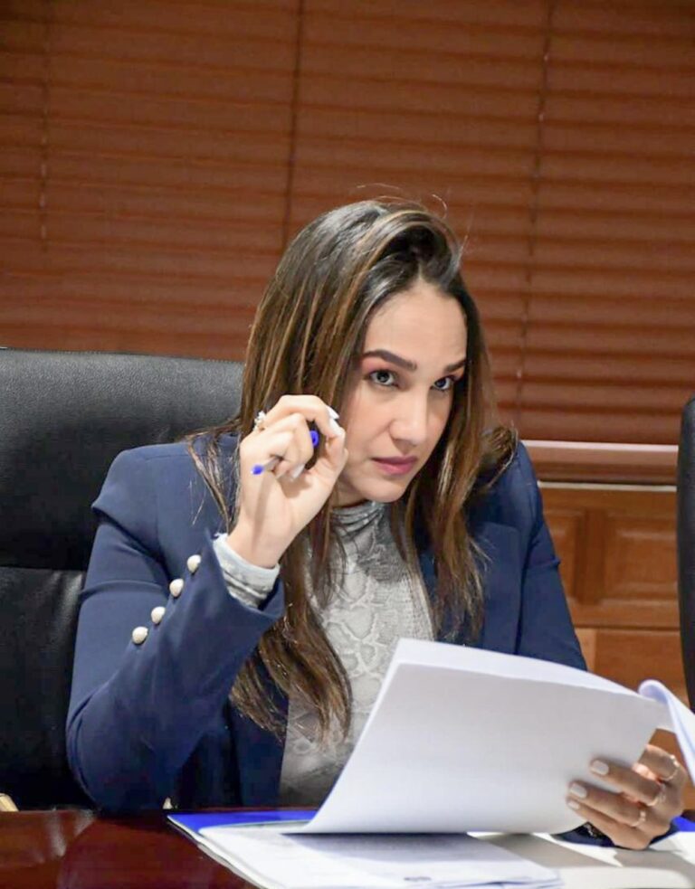 Diputada Priscila D'Oleo solicita  peajes de la autopista del nordeste en sean incluidos en Red de “Paso Rápido”
