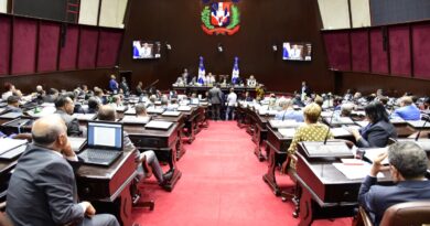 Diputados convierten en ley proyecto que suprime la CDEEE y la UERS