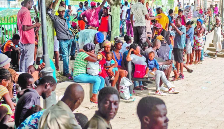 Gobierno rechaza propuesta de abrir campos para refugiados haitianos