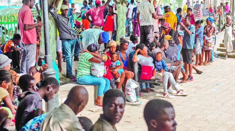 Gobierno rechaza propuesta de abrir campos para refugiados haitianos